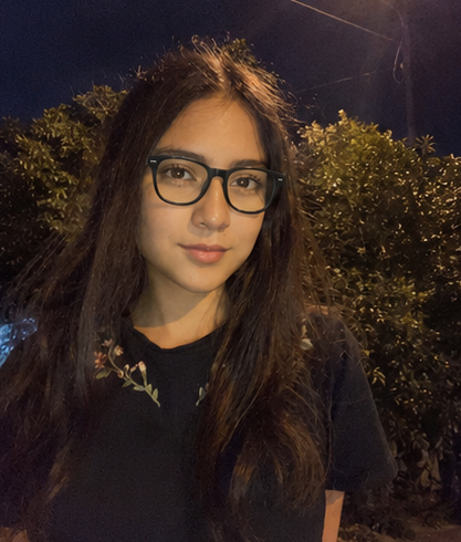 Travel diaries